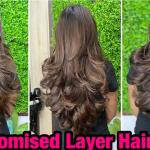 Signature Haircut by Our Hair Expert